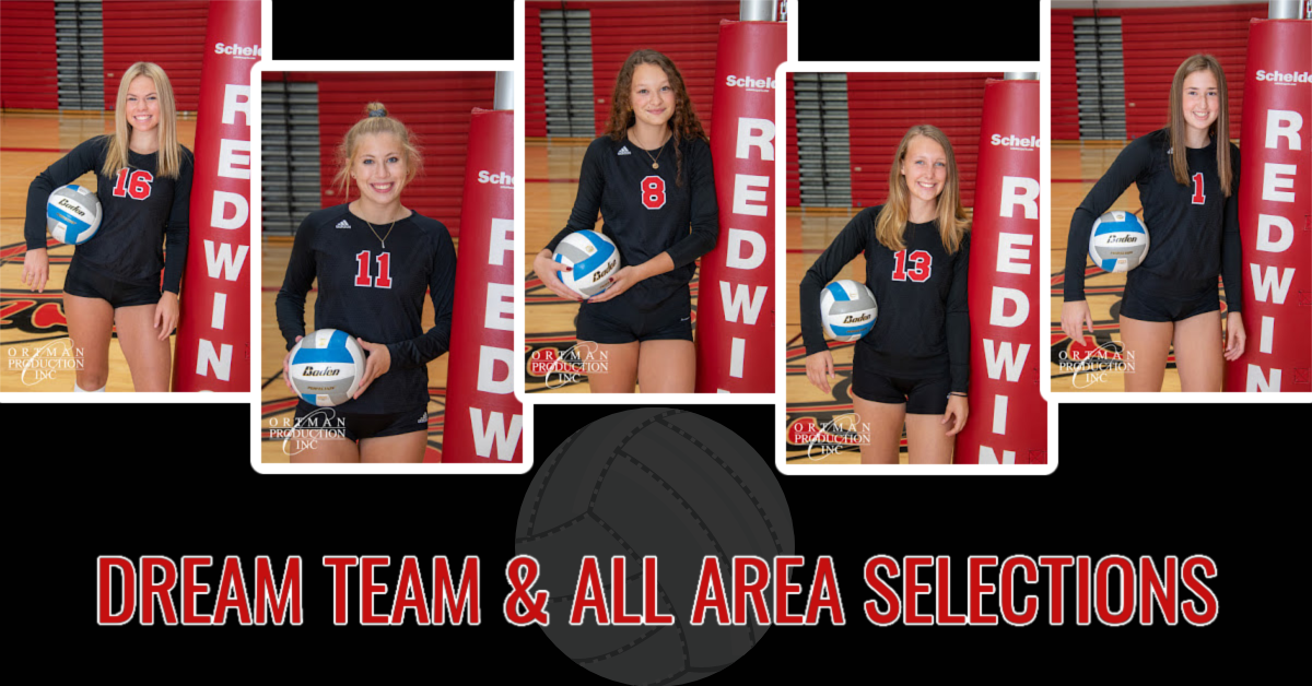 Redwing All Area Volleyball