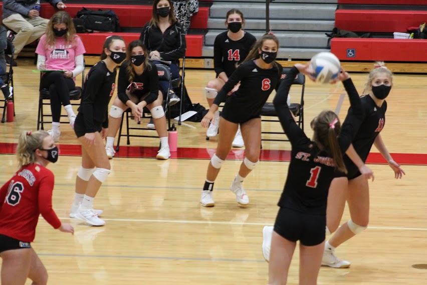 St. Johns Redwings Volleyball Athletics Sports