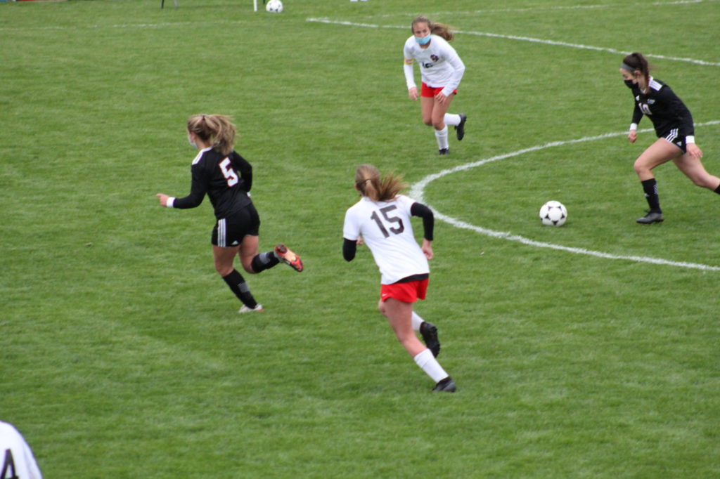 IMG 9118 IMG 9118